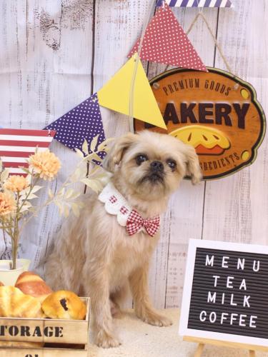 20240915ムーくん